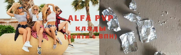 индика Надым