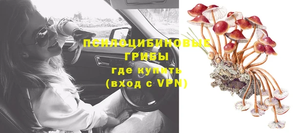 дурь Нея