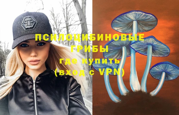 дурь Нея