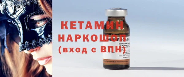индика Надым