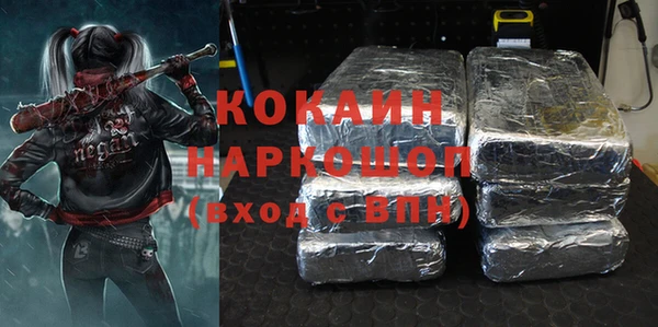 индика Надым