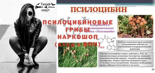 соль ск Нефтекумск