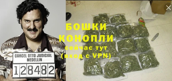 дурь Нея