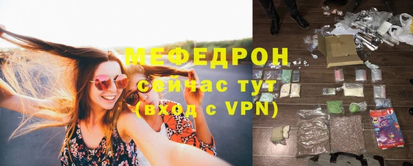 индика Надым