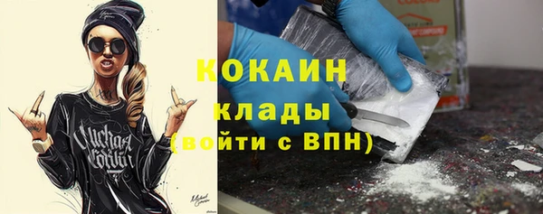 индика Надым