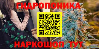 мяу мяу мука Азнакаево