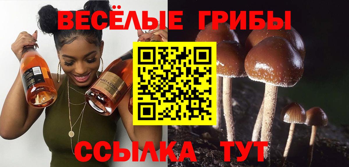 Псилоцибиновые грибы ЛСД  где продают наркотики  Острогожск  Вход с VPN 