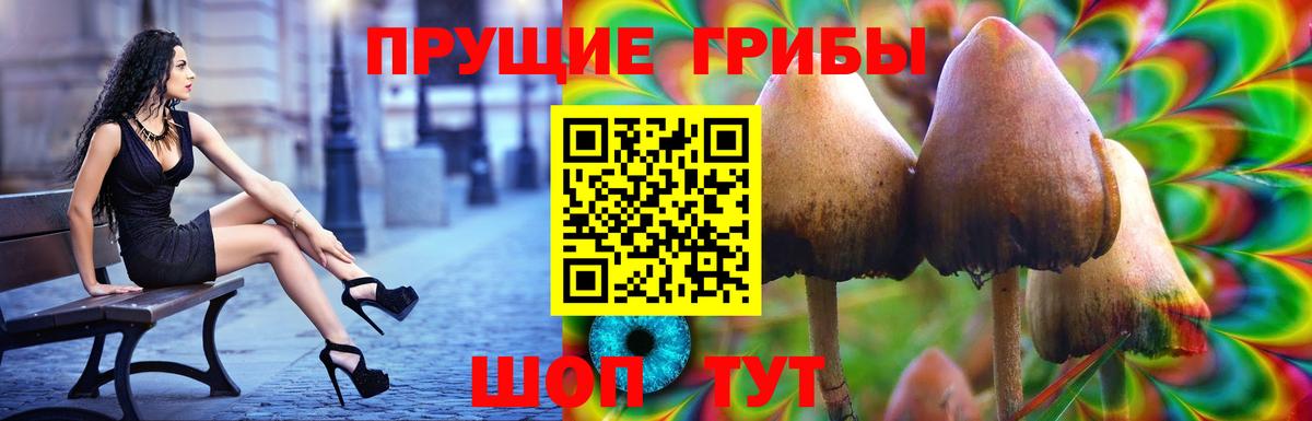 Галлюциногенные грибы Острогожск